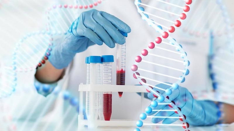 Sử dụng mẫu máu để xét nghiệm ADN sẽ có giá thành rẻ hơn