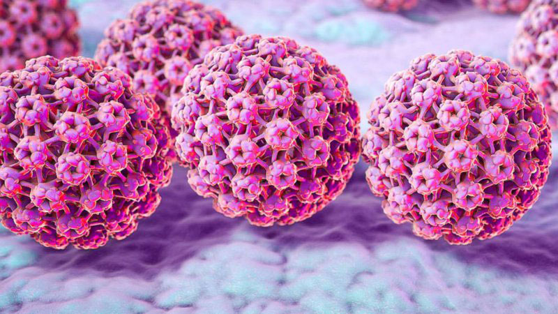 Virus HPV có thể lây nhiễm qua nhiều con đường khác nhau.