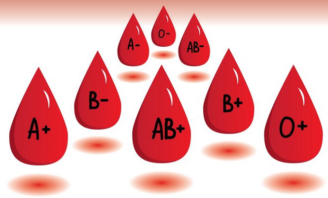 Có 4 nhóm máu cơ bản là A, B, AB và O 