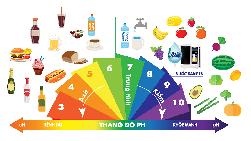 Hình 3: Thực phẩm có gây ảnh hưởng đến giá trị pH trong nước tiểu