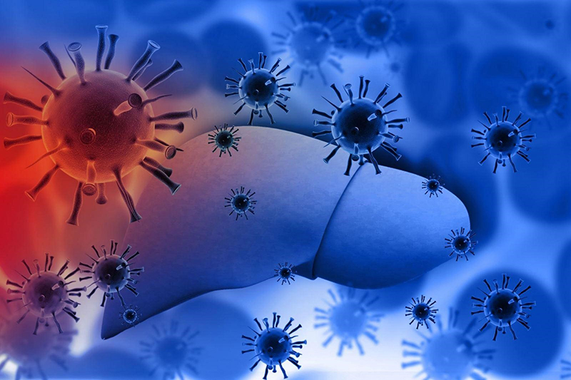 Viêm gan do vi khuẩn tấn công có thể gây mỏi mệt, không ngon miệng
