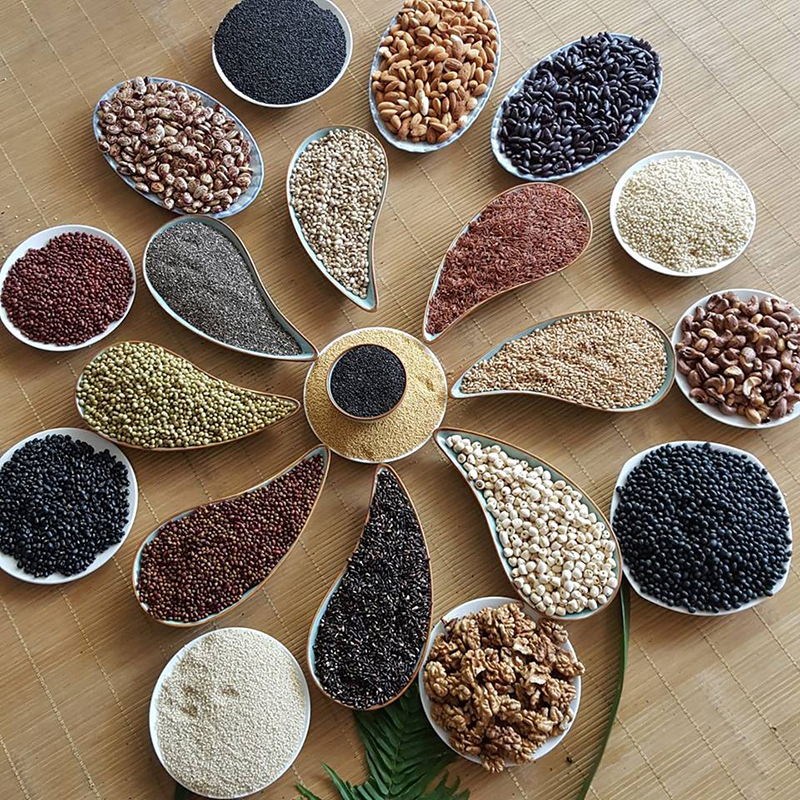 Các loại hạt bổ sung dinh dưỡng cho người biếng ăn