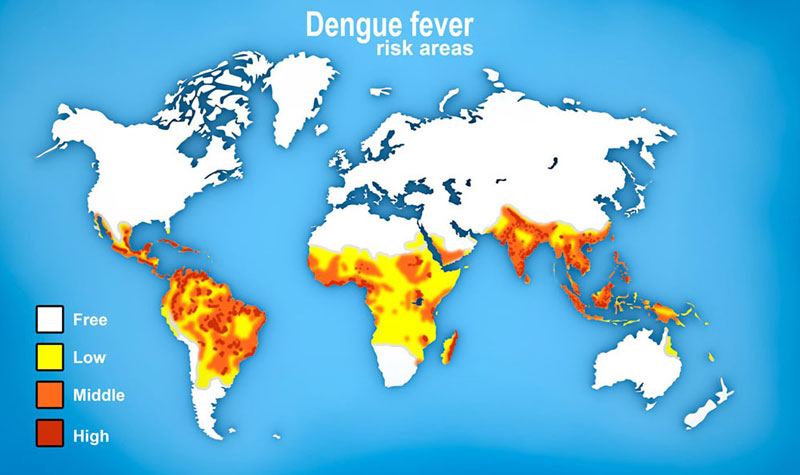 sốt xuất huyết xảy ra ở mọi châu lục trên thế giới