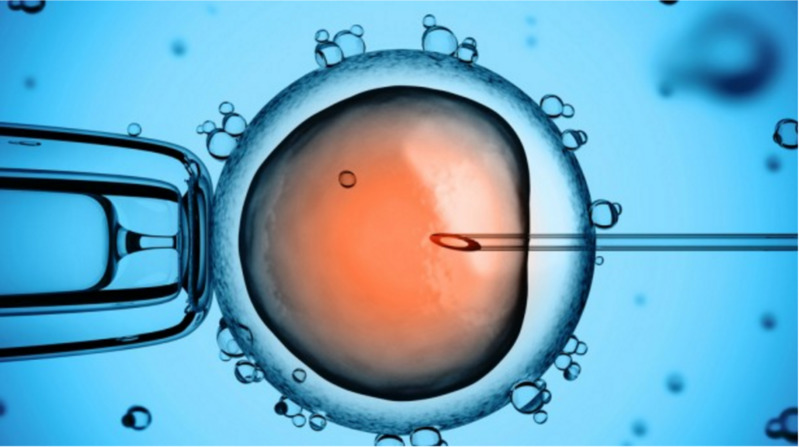 Vô sinh thứ phát ở nam giới có thể thực hiện bơm tinh trùng vào tử cung