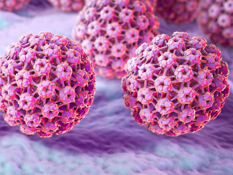 Virus HPV được xác định là yếu tố gây ra bệnh ung thư