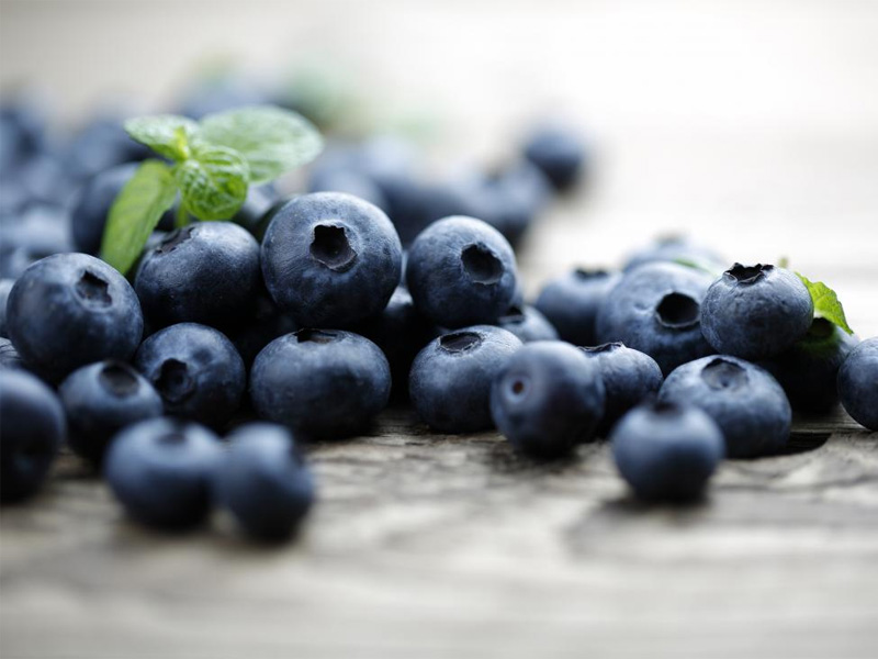 Tinh chất Blueberry từ các loại thực vật tự nhiên được sử dụng nhiều trong các loại thuốc bổ cho não