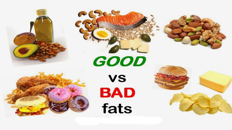 Hạn chế sử dụng chất béo để làm giảm hàm lượng cholesterol có trong cơ thể
