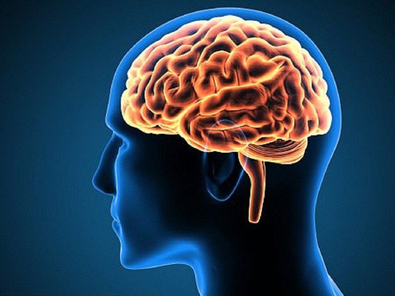Tổn thương vùng đầu não khó phát hiện và chẩn đoán