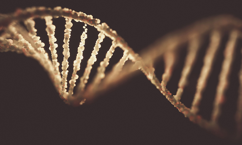  Đa số bệnh được phát hiện xuất phát từ những rối loạn di truyền ở thể gen trội