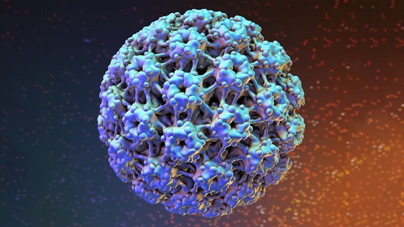 Virus HPV gây ra các bệnh như sùi mào gà, ung thư cổ tử cung,...