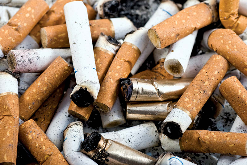 Thuốc lá có thể gây nghiện do trong thành phần có nồng độ nicotin cao