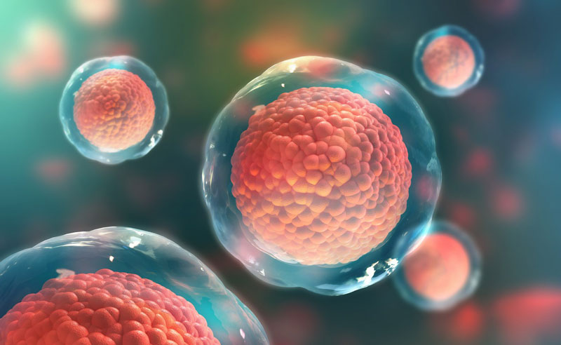Sản sinh tế bào mới để thay thế tế bào bị bệnh