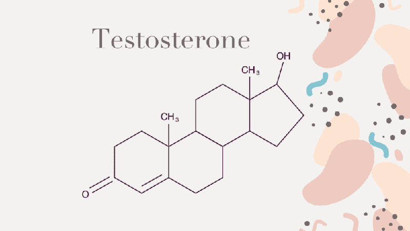 bổ sung Testosterone có vai trò quan trọng đối với cơ thể