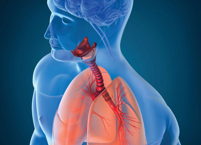 Phân biệt viêm hô hấp trên và viêm hô hấp dưới