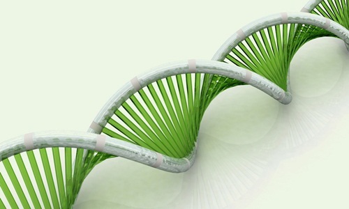 Xét nghiệm ADN giúp xác định mối quan hệ huyết thống chính xác.