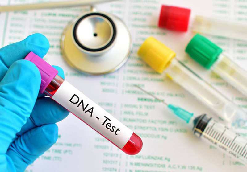 Xét nghiệm ADN là cách giúp đưa ra kết luận về các mối quan hệ huyết thống một chính xác nhất