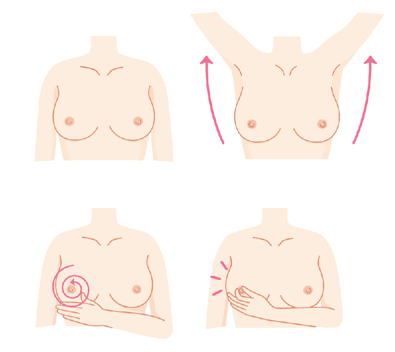 Các bạn có thể dễ dàng kiểm tra được sự xuất hiện của các khối u bất thường tại bầu ngực