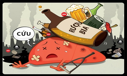Uống nhiều rượu bia gây hại cho gan