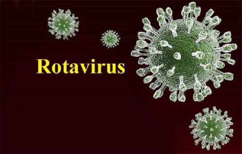Virus rota là nguyên nhân trực tiếp gây ra bệnh tiêu chảy cấp ở trẻ, vắc xin rota có tác dụng ngăn ngừa loại virus này ở trẻ