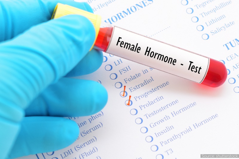 Testosterone là hormone sinh dục nam quan trọng