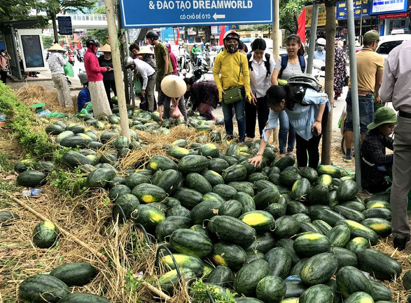 MED GROUP đã cùng chung tay ủng hộ chiến dịch tiêu thụ, "giải cứu" hơn 25.000 kg dưa hấu và 15.000 kg thanh long cho người trồng nông sản.