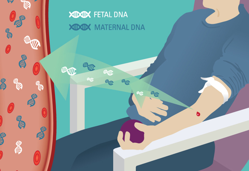 Cơ sở của phương pháp xét nghiệm ADN trước sinh không xâm lấn