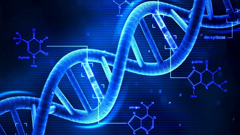 Hình ảnh của dữ liệu di truyền ADN