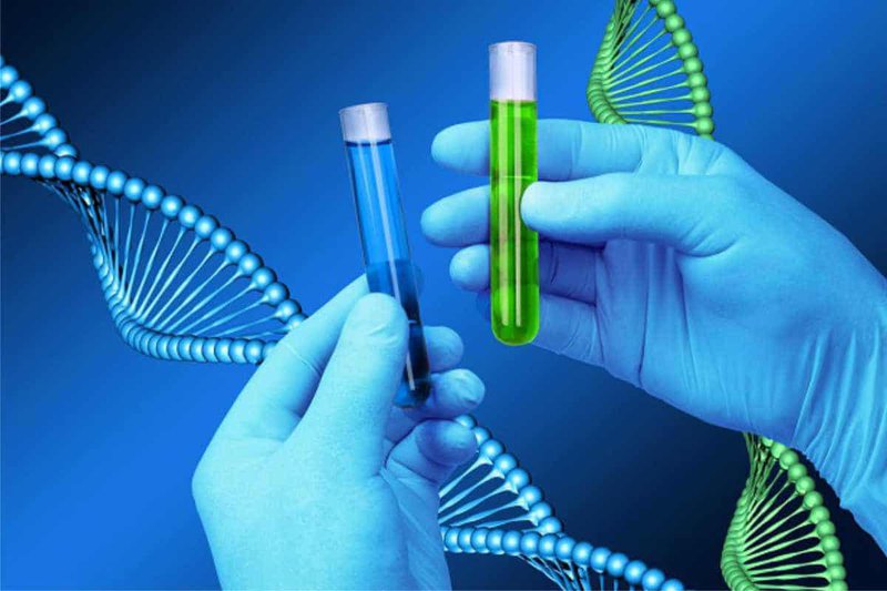 Xét nghiệm ADN để xác định mối quan hệ huyết thống 