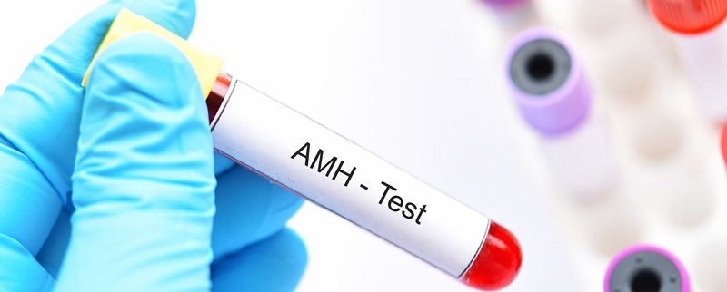 AMH giúp đánh giá khả năng sinh sản ở phụ nữ
