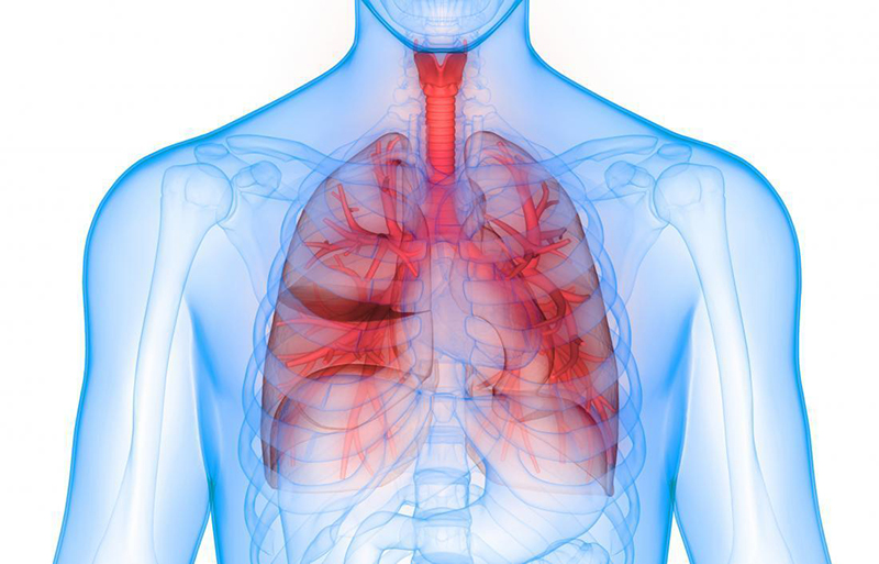 Nội soi phế quản được chỉ định trong các trường hợp chẩn đoán bệnh đường hô hấp