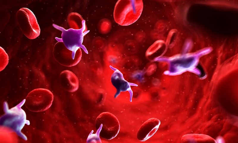 Tiểu cầu đóng vai trò quan trọng trong quá trình làm đông máu