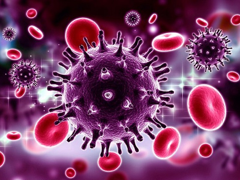 Virus HIV xâm nhập vào cơ thể làm suy giảm hệ miễn dịch