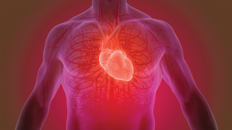Sốt siêu vi có thể gây biến chứng viêm cơ tim nếu không được điều trị kịp thời