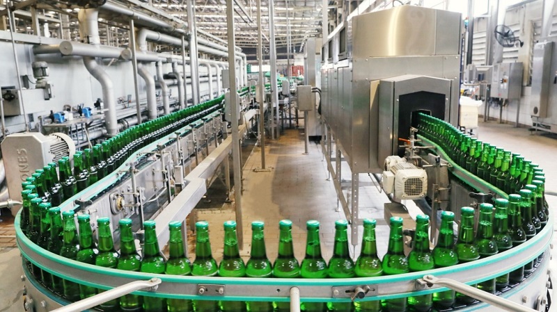 Hình 2: Vi nấm được ứng dụng trong sản xuất bia