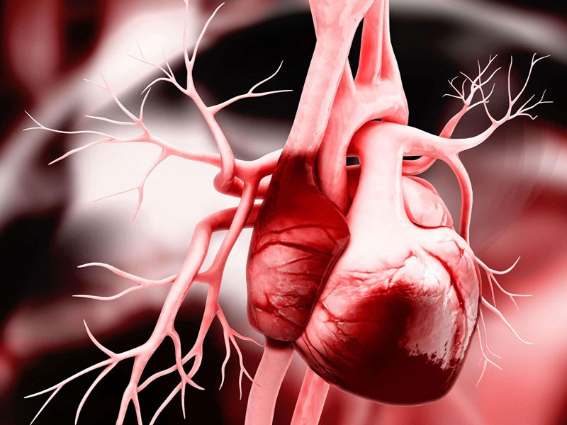 Bệnh nhân có nguy cơ mắc các bệnh liên quan đến tim mạch rất cao.