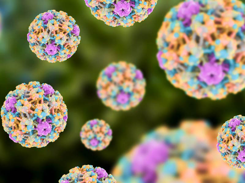 Đa số bệnh nhân ung thư cổ tử cung đều nhiễm vi rút HPV