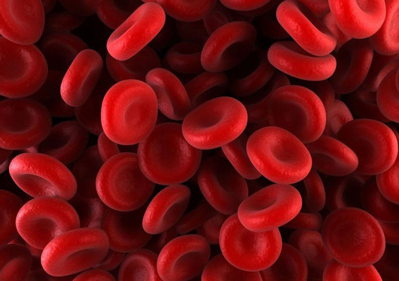 cách nhận biết nhóm máu