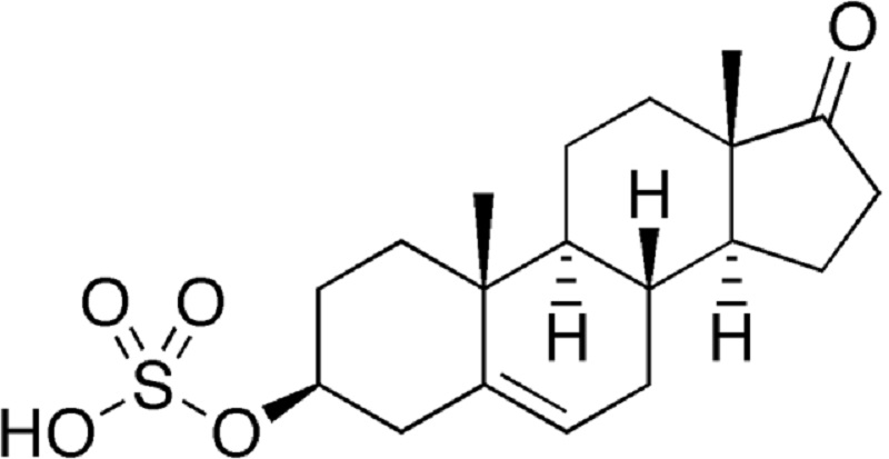 Cấu tạo phân tử hormone DHEA SO4