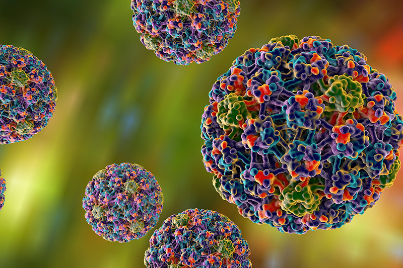 Virus HPV là tác nhân khiến các tế bào biểu mô da tăng sinh bất thường