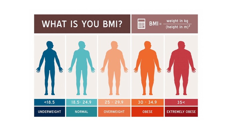 Chỉ số BMI của Tổ chức Y tế thế giới (WHO)