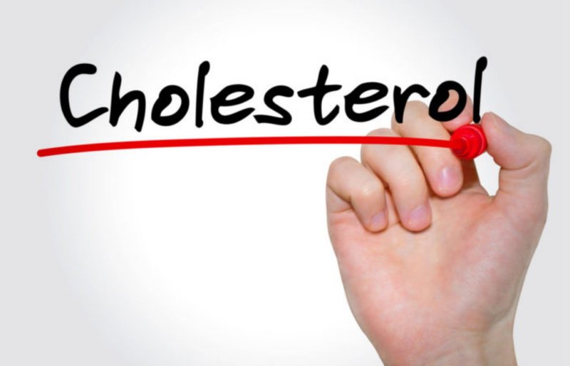 Cholesterol là thành phần quan trọng trong mỡ máu