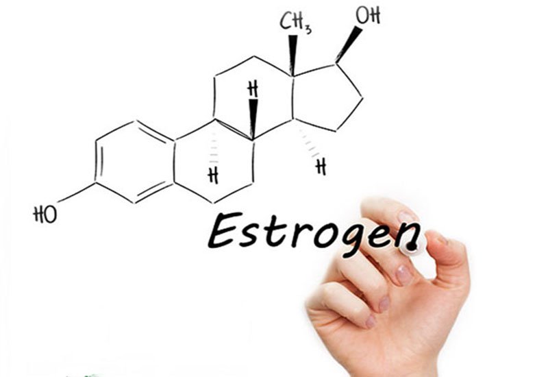 Nồng độ estrogen có thể ảnh hưởng đến độ dày của niêm mạc tử cung