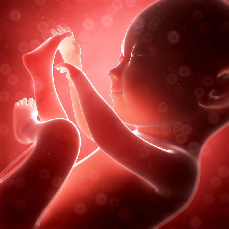 4 tháng siêu âm có chính xác tuổi thai