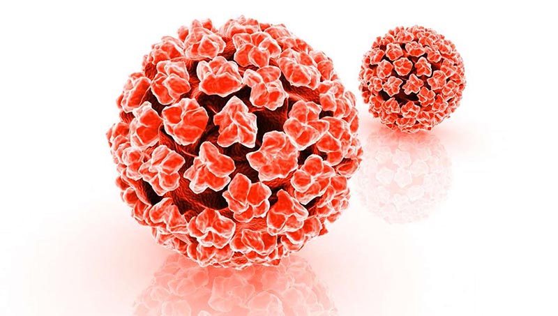 Virus HPV là nguyên nhân gây ra bệnh ung thư cổ tử cung ở phụ nữ