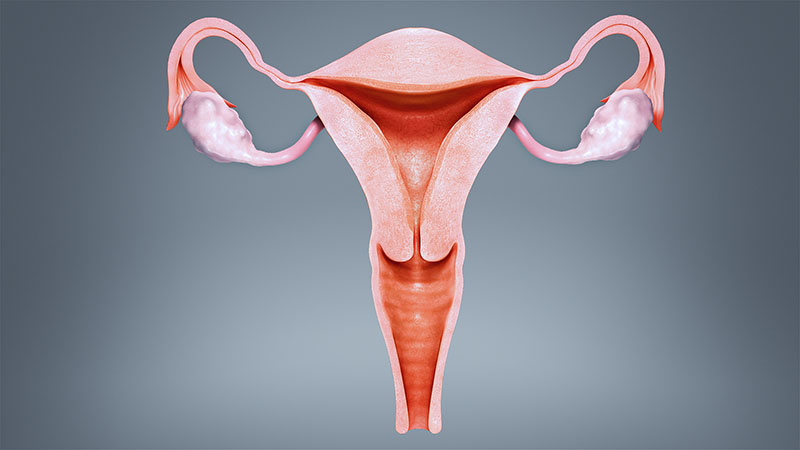 Chụp tử cung vòi trứng giúp tìm ra những vấn đề về sức khỏe sinh sản