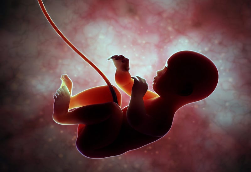 Siêu âm 2D nhiều có ảnh hưởng đến thai nhi 