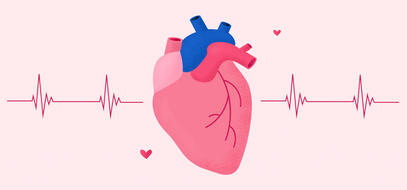 nhịp tim chậm có ảnh hưởng tới sức khỏe của bạn