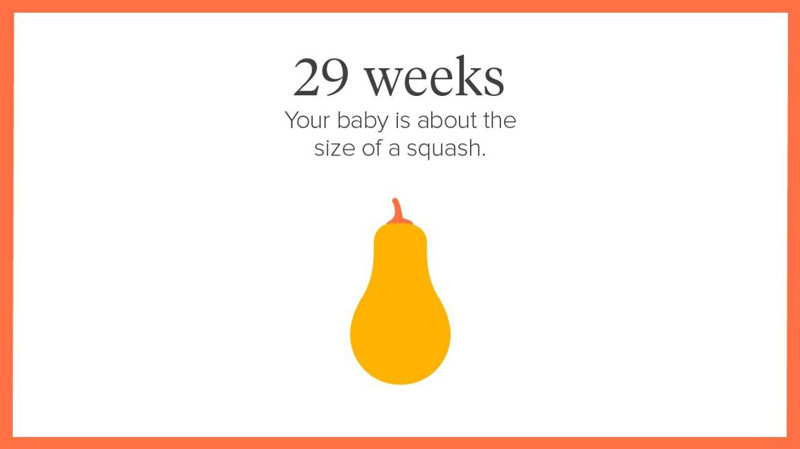 thai nhi 29 tuần có kích thước thay đổi rõ rệt