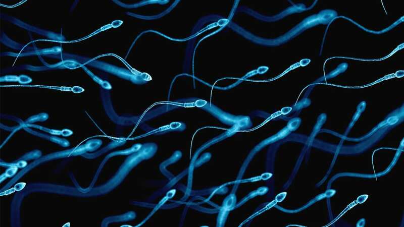 Vô sinh nam là gì cần kiểm tra tinh trùng di động hay không
