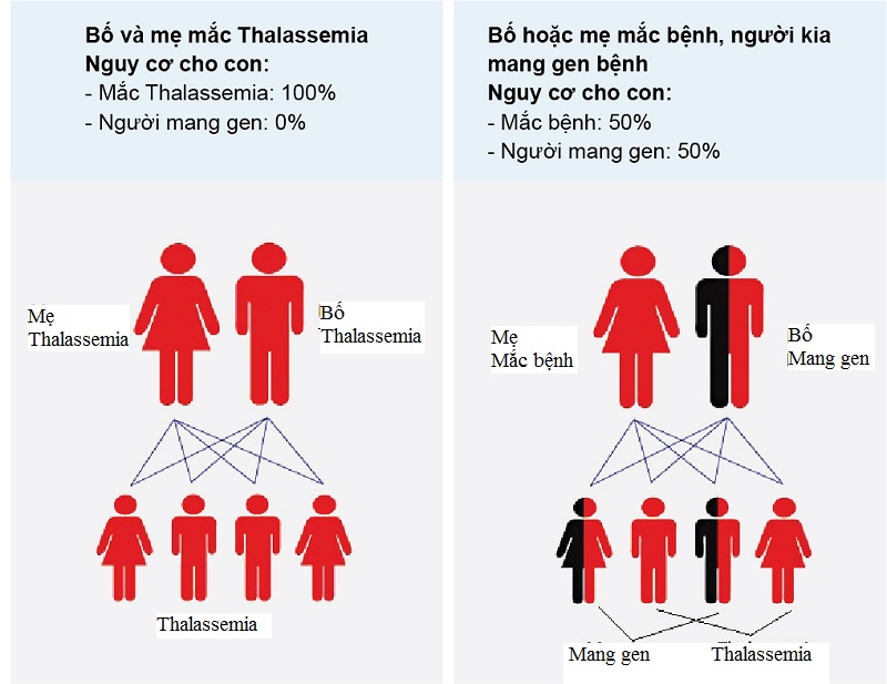 thalassemia bệnh tan máu bẩm sinh cần được phát hiện và điều trị từ sớm